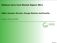 20120125_IEA_MCMR_Houssin-240x180