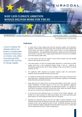 EURACOAL-20141000-Position-Paper-2030-climate-package-rev10-169x240